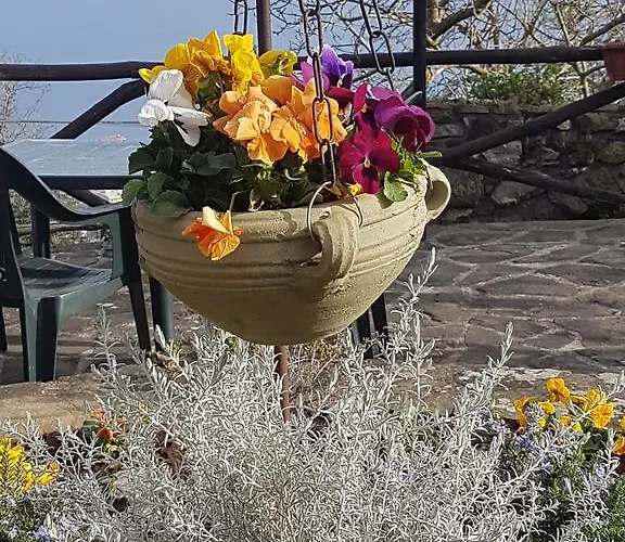 Il Casale Guest house Sorrento