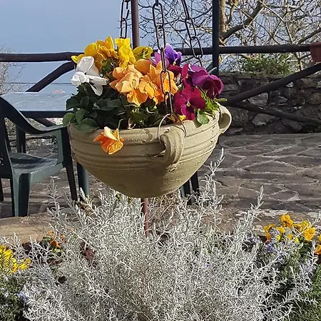 Il Casale ゲストハウス ソレント