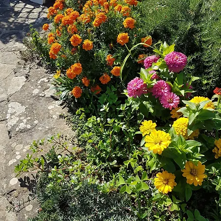 Il Casale 2*