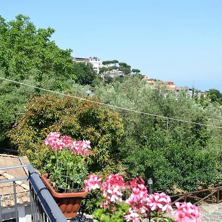 Il Casale