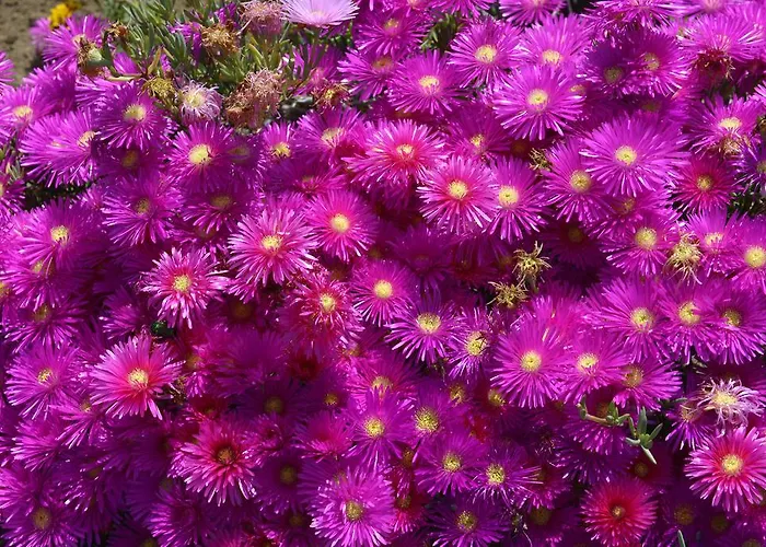 بيت ضيافة Il Casale 2*